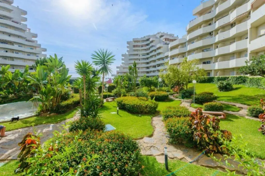 Apartamento 215. Primera Linea De Playa.-1