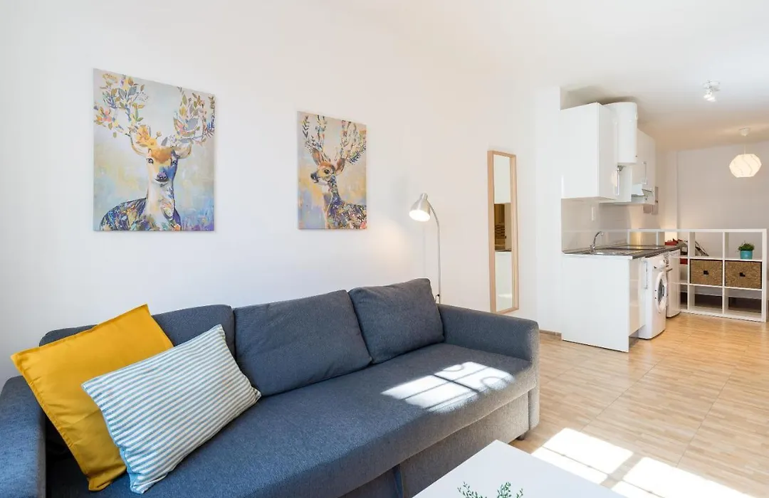 Modern Studio Apartments Benalmadena-1