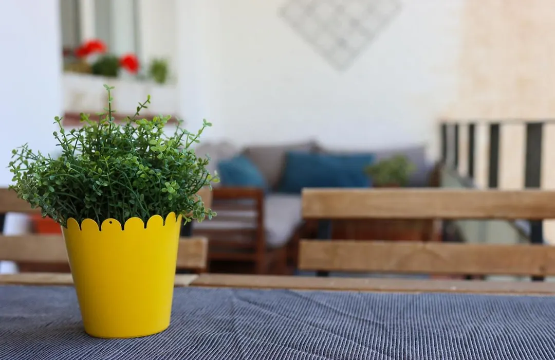 Charming Flat In Puerto Marina, Benalmadena-1