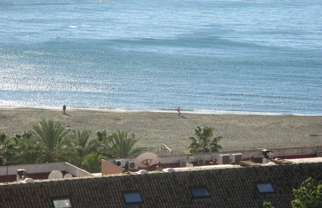 Beachfront Apartment Diana 2-1