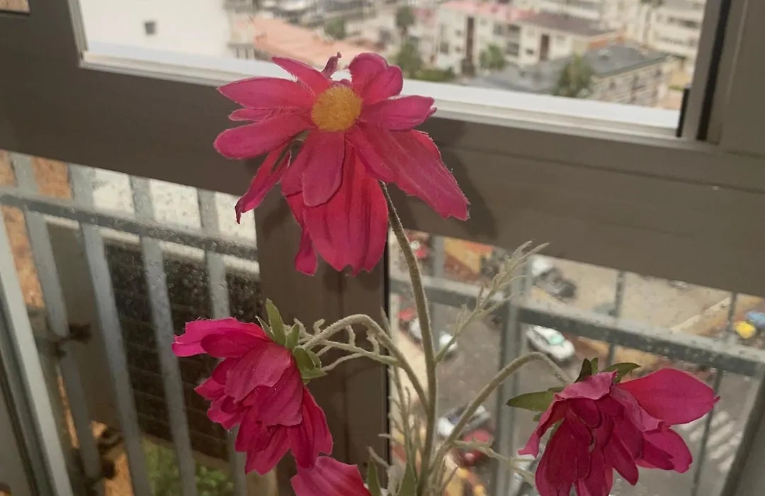 Benalmadena ,Apartamento-Estudio Primera Linea De Playa-1