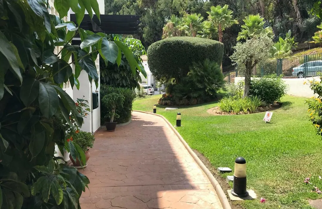 Bajo Las Palmeras-1
