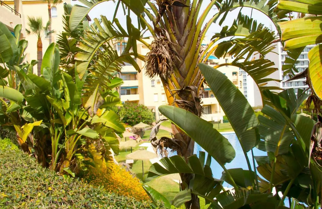 22-Casinomar Apartment With Amazing View! 0022-1