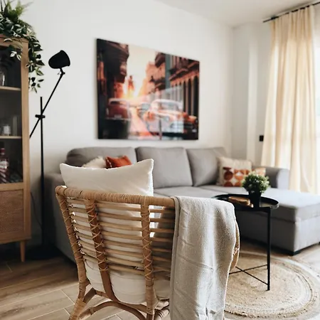 Cozy Apartment (La Orquídea)-2