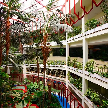 Benalbeach Terrace-3