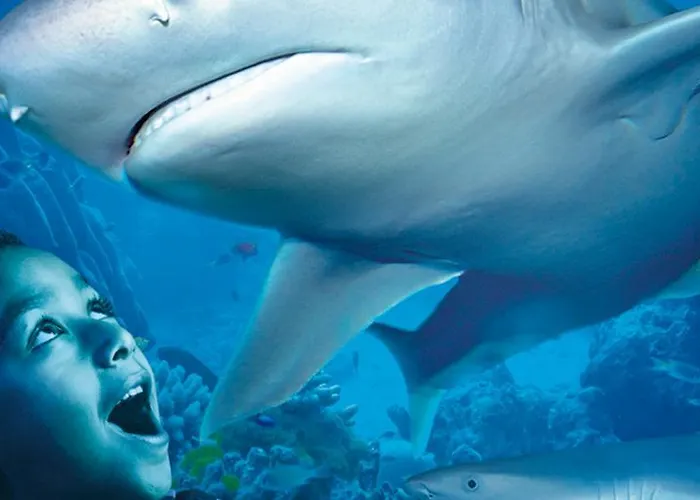 Hotels in de buurt van Playa Malapesquera